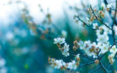 2020年1月15日腊月二十一是不是适合结婚领证的好日子？