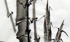 2020年的风水财位在哪里，适合摆放什么？