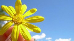 理发有什么风水讲究，2020年理发日子宜忌讲究！