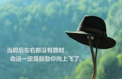 富贵竹摆放—2020年富贵竹应该摆放在什么方位吉利？