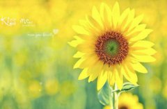 办公室招财风水—2020年办公室招财风水布局介绍！