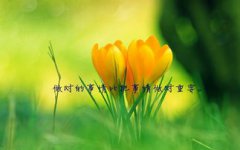 养花风水—2020年卧室不宜养什么花，有何不利影响？