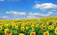 窗帘颜色—2020年选择窗帘颜色有何风水禁忌？