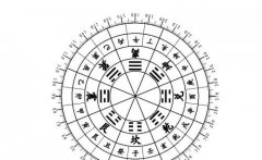 2020年七赤破军星在中宫方吗，主要代表的是财运吗？