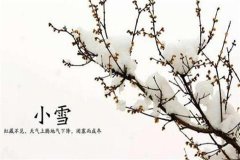 节气小雪婚嫁有忌讳吗，小雪节气日子时间查询！