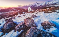 2019年冬至后一天宜嫁娶吗,冬至艾灸有何好处？