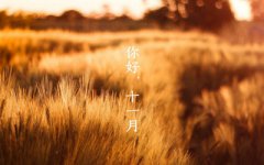 2019年十一月初三感恩节丑时出生喜用神是什么？