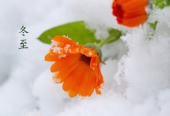 节日冬至要不要上坟，冬至讲究家人团圆！