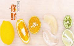 2019己亥年11月28日感恩节巳时出生命好不好？