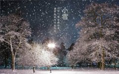 2019猪年小雪节气亥时出生喜用神是什么？