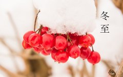 2019年12月22日冬至节气丑时出生喜用神