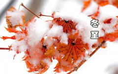 2019冬至夜是几号？冬至起九是什么意思？