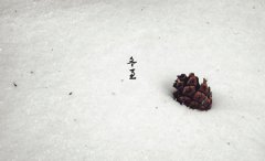 2019年冬至前一天开业吉利吗,2019年三九第一天是几号？