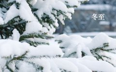 2019己亥猪年冬至戌时出生的人喜用神是什么？