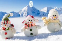 2019年的大雪在什么时候？是什么日子？