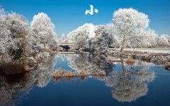 2019年小雪节气酉时出生喜用神，不同地方小雪谚语