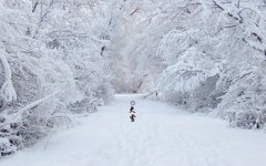 2019猪年大雪可以乔迁新家吗？大雪节气习俗