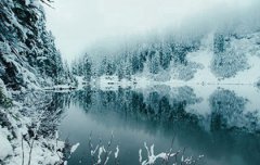 2019年小雪后一天不宜搬家吗,2020年三九贴时间表解析！