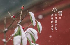 2019年11月22日小雪财神爷吉位在哪里,小雪第几个节气？