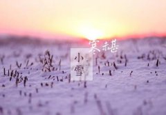 小雪2019年出生的人是什么命，2019年阴历十月二十六日好日子吗？