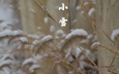 2019年十月廿六小雪节气时辰吉凶一览表