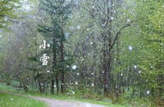 小雪时节养生要注意什么？2019年小雪日子好不好？
