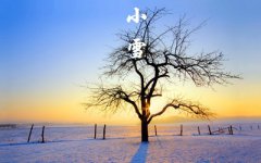 小雪农事活动有哪些？2019年小雪节气卦象如何？