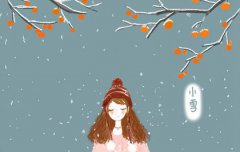 2019年小雪节气那天几点几分是小雪时辰,小雪的谚语民谣