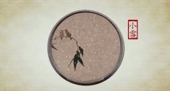 小雪出生的属牛人命运好不好，是不是富贵命？