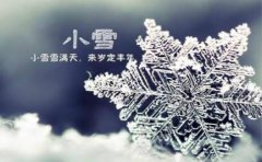 不同年份属鼠的人生于小雪节气是什么命，性格好不好？