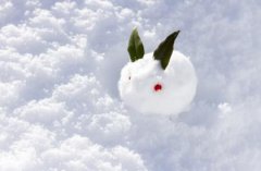 2019年腊月十六是破土迁坟吉日吗,1月10日吉时查询解析！