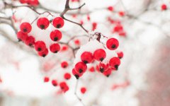 2019年农历十二月廿七日这天适合签约吗？