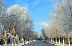 2019年农历十二月十二小寒适合理发吗,2020小寒是哪一天？