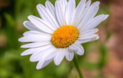 2019年农历腊月初三是出殡吉日吗,出殡择日有何讲究？