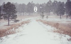 2019年十二月廿六日大寒日子适合求嗣吗？