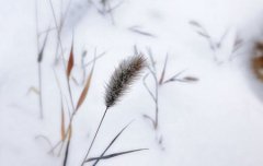 2019年11月8日立冬可以剪头发吗,立冬补冬是什么意思？