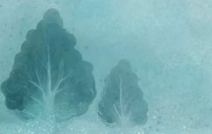 2019年立冬日子宜盖房子吗,梦见盖房子是什么预兆？