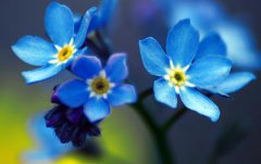 2019年阴历十二月初五迁坟吉利吗,今天迁坟适合吗？