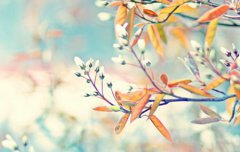 2019年立冬后一天11月9日宜领证吗,2019年什么时候入冬？