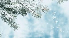 阴历2019年十二月哪天日子比较好，黄道吉日解读！