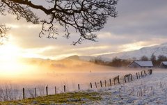 2019年农历十二月廿二日是好日子吗？