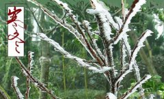 立冬有哪些禁忌需要注意，2019年立冬是凶日还是吉日？