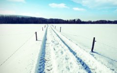 2019年十二月腊月廿二日适不适合去签约？