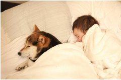 2019年阴历十二月二十六大寒时出生女孩好吗，命理分析！