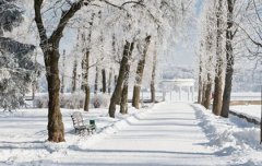 2019年冬月二十不宜安床吗,安床风水宜忌解析！