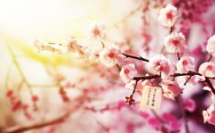 2019年十二月初八日腊八节是装修吉日吗？