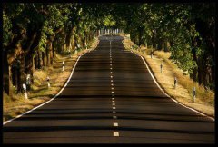 2019年小寒腊月十二适合出远门吗，小寒节气农谚！