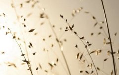 2019年冬月二十五是好日子吗,黄道吉日如何选择？