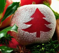 2019年圣诞节后一天十二月初一宜破土吗,今天卦象是上上卦吗？