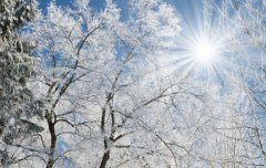 2019年农历十二月腊月适合祭祀祭祖黄道吉日一览表！